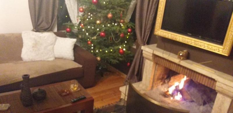 Elena'S Villa Chrysomilea ภายนอก รูปภาพ